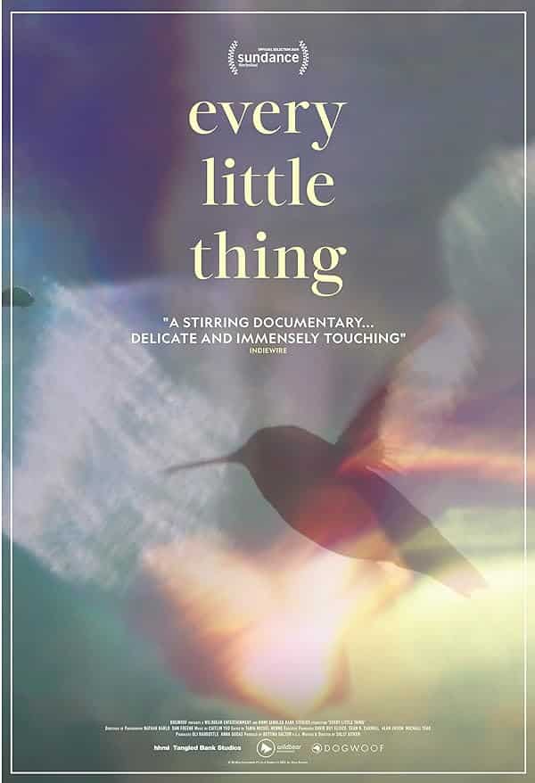 (2024) Every Little Thing | هر چیز کوچک